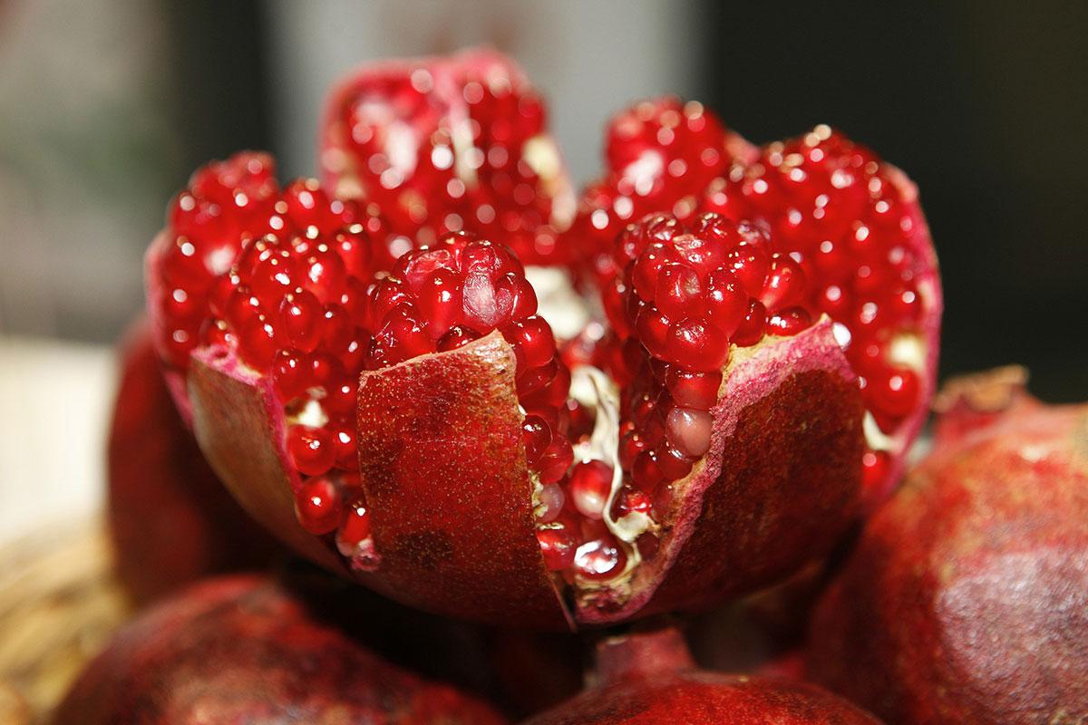 The Pomegranate Festival in Goychay | Sinalco Group